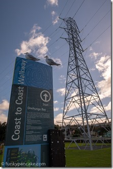 180425_IMG_5170