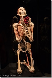 180526_IMG_5933