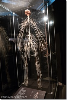 180526_IMG_5977