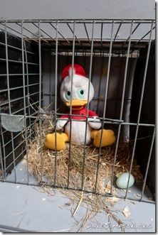 180707_IMG_7211